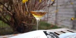 Beitragsbild des Blogbeitrags Yoichi Single Malt