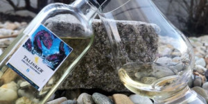 Beitragsbild des Blogbeitrags Talisker 8y Diageo Special Releases 2021