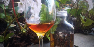 Beitragsbild des Blogbeitrags Mannochmore 14y Port Cask Finish (ADoS) 