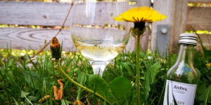 Beitragsbild des Blogbeitrags Ardbeg Heavy Vapours Committee Release Ardbeg Day 2023 50,2%