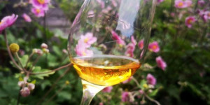 Beitragsbild des Blogbeitrags Fettercairn 12y