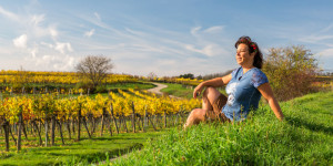 Beitragsbild des Blogbeitrags Weinviertel wandern: Großriedenthal - Eisenhut - Weinbergwandern