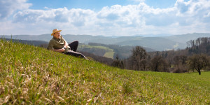Beitragsbild des Blogbeitrags Wienerwald wandern: von Michelbach Elsbeerweg Hegerberg 