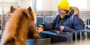 Beitragsbild des Blogbeitrags Island: Reiten auf Islandpferden