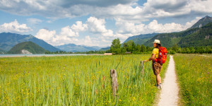 Beitragsbild des Blogbeitrags Wolfgangsee wandern: Strobl - Bleckwandwald - Blinklingmoos