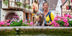 Beitragsbild des Blogbeitrags Elsass, die schönsten Orte und Städte, Eguisheim 