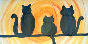 Beitragsbild des Blogbeitrags Malen Anfänger: Katzen in vielen Farb-Varianten