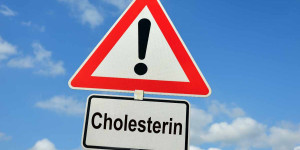 Beitragsbild des Blogbeitrags »Cholesterin-Allianz« für Vorsorgekonzepte und passende Therapien