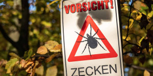 Beitragsbild des Blogbeitrags FSME ist immer noch aktuell – neuer Hotspot & viele schwere Verläufe
