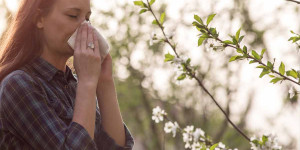 Beitragsbild des Blogbeitrags Pollenallergie: Gründe für Anstieg sind vielfältig – neben dem Pollenflug