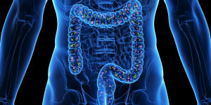 Beitragsbild des Blogbeitrags Frisches regionales Obst und Gemüse sind gut für das Mikrobiom und die Darmgesundheit