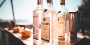 Beitragsbild des Blogbeitrags Bester Gin 2023: An diesen 8 Sorten geht kein Weg vorbei 