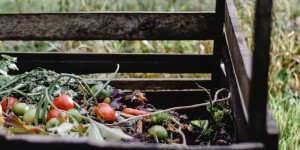 Beitragsbild des Blogbeitrags Nachhaltig und geruchsfrei: 6 Top Biomülleimer im Vergleich