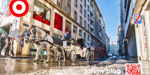 Beitragsbild des Blogbeitrags Winter in Wien | Winter in Vienna