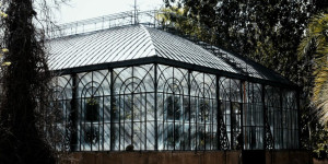 Beitragsbild des Blogbeitrags Palermo – Ruhe und Entspannung im Botanischen Garten