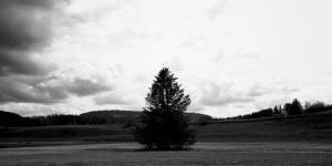Beitragsbild des Blogbeitrags Black&White 23#7 – Die faszinierende Schönheit der Moorlandschaften im Allgäu