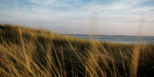 Beitragsbild des Blogbeitrags Landschaftsfotografie an der Nordseeküste: 16 Tipps für tolle Fotos in den Dünen 