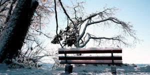 Beitragsbild des Blogbeitrags 5 Fotografen und Ihre Tipps zum Fotografieren im Winter 