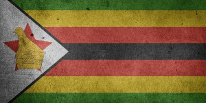 Beitragsbild des Blogbeitrags IMF warnt vor potenzieller Bedrohung für Finanzstabilität durch goldgedeckte digitale Währung in Simbabwe – Afrika 