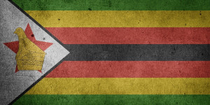 Beitragsbild des Blogbeitrags IMF warnt vor potenzieller Bedrohung für Finanzstabilität durch goldgedeckte digitale Währung in Simbabwe – Afrika