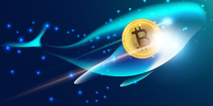 Beitragsbild des Blogbeitrags BTC im Wert von $3,7Mio bewegt sich nach fast 12 Jahren der Inaktivität plötzlich – .
BTC im Wert von $3,7Mio bewegt sich nach 12 Jahren Inaktivität – .