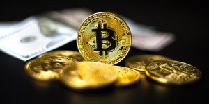 Beitragsbild des Blogbeitrags Privatanleger werden Bitcoin dem Dollar vorziehen, wenn die USA zahlungsunfähig werden: Umfrage 