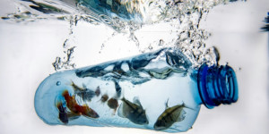 Beitragsbild des Blogbeitrags Plastikverschmutzung: Vertragsverhandlungen gehen ins Detail