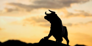 Beitragsbild des Blogbeitrags Trader Joe setzt auf Auto-Pools: Game-Changer für DeFi-Investoren?