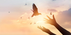 Beitragsbild des Blogbeitrags Der Bitcoin-Preis dürfte sich voraussichtlich auf 27.000 US-Dollar erholen, hier ist der Grund dafür 