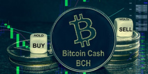 Beitragsbild des Blogbeitrags Der Preis von Bitcoin Cash erreicht ein 14-Monats-Hoch
