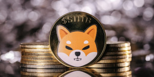 Beitragsbild des Blogbeitrags Shiba Inu Lead Dev neckt Shibarium-Start: Wie hoch kann SHIB steigen?