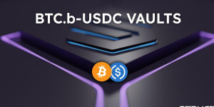 Beitragsbild des Blogbeitrags Struct Finance verändert die DeFi-Landschaft weiter Avalanche Mit der Einführung tranchenbasierter BTC.B-USDC-Tresore