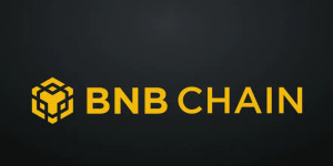 Beitragsbild des Blogbeitrags BNB Chain Neuer Rekord mit steigender Benutzeraktivität – ein Preisanstieg? 