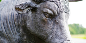 Beitragsbild des Blogbeitrags Stellar (XLM) steigt in einer Woche um über 43 %, was treibt es an? 