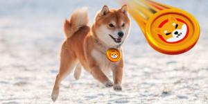 Beitragsbild des Blogbeitrags Prognose für Shiba Inu (SHIB): Bis zum Monatsende steht eine Preisrallye von 24 % bevor