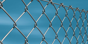 Beitragsbild des Blogbeitrags Chainlink Hält sich mit 19 %-Rallye stark – Weitere Gewinne in der Pipeline?