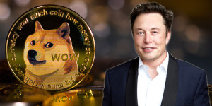 Beitragsbild des Blogbeitrags Elon Musk integriert das Dogecoin-Symbol in seine Twitter-Biografie und löst damit einen Preisanstieg von 5 % aus