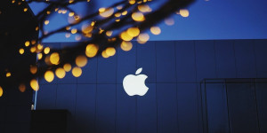 Beitragsbild des Blogbeitrags US-Abgeordnete Bilirakis und Schakowsky erkundigen sich nach Apples Richtlinien zu Blockchain und NFTs.