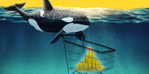 Beitragsbild des Blogbeitrags Shiba Inu Whale überträgt 4,6 Billionen Token nach einer 24-Stunden-Verwahrung 