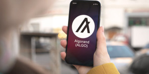 Beitragsbild des Blogbeitrags Der Krypto-Abschwung lässt ALGO auf ein Allzeittief sinken