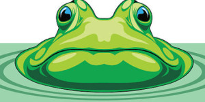 Beitragsbild des Blogbeitrags PEPE-Token fällt aufgrund verdächtiger Aktivitäten um 20 % – Details