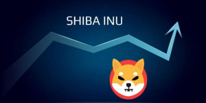 Beitragsbild des Blogbeitrags Shiba Inu erreicht 77 % Akkumulation durch Großinvestoren – gut für den SHIB-Preis?