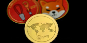 Beitragsbild des Blogbeitrags Shiba Inu-Gemeinschaft schlägt Alarm, als Betrüger Shibarium belagern