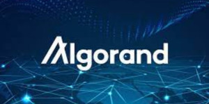 Beitragsbild des Blogbeitrags Algorand (ALGO) könnte eine Chance auf einen Aufwärtstrend haben – so gehts