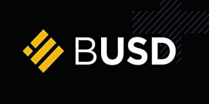 Beitragsbild des Blogbeitrags Bye Bye Birdie: Binance beginnt mit der Abschaffung des BUSD-Stablecoins