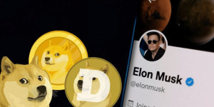 Beitragsbild des Blogbeitrags X kündigt bevorstehende Zahlungsintegration an: Dogecoin auf der Liste?