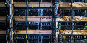 Beitragsbild des Blogbeitrags Venezolanische Behörden entdecken Granatwerfer, Bitcoin-Miner und sogar einen Zoo in einem nationalen Gefängnis. 
