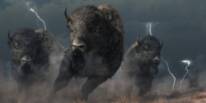 Beitragsbild des Blogbeitrags Bitcoin Cash Bulls Charge: 13 % Preisanstieg aufgrund neuer Nachfrage