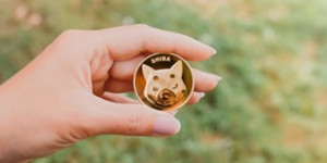 Beitragsbild des Blogbeitrags Sturzflug der Shiba Inu-Verbrennungsrate nach 7.700 %-Sprung, was ist passiert?