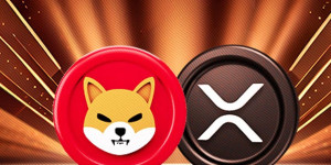 Beitragsbild des Blogbeitrags Diesem Indikator zufolge ist die XRP- und Shiba-Inu-Rallye noch nicht vorbei